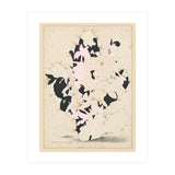 The First Plant · E (Print Only) thumbnail