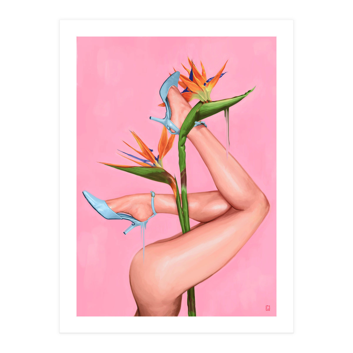 Bird Of Paradise (Print Only)