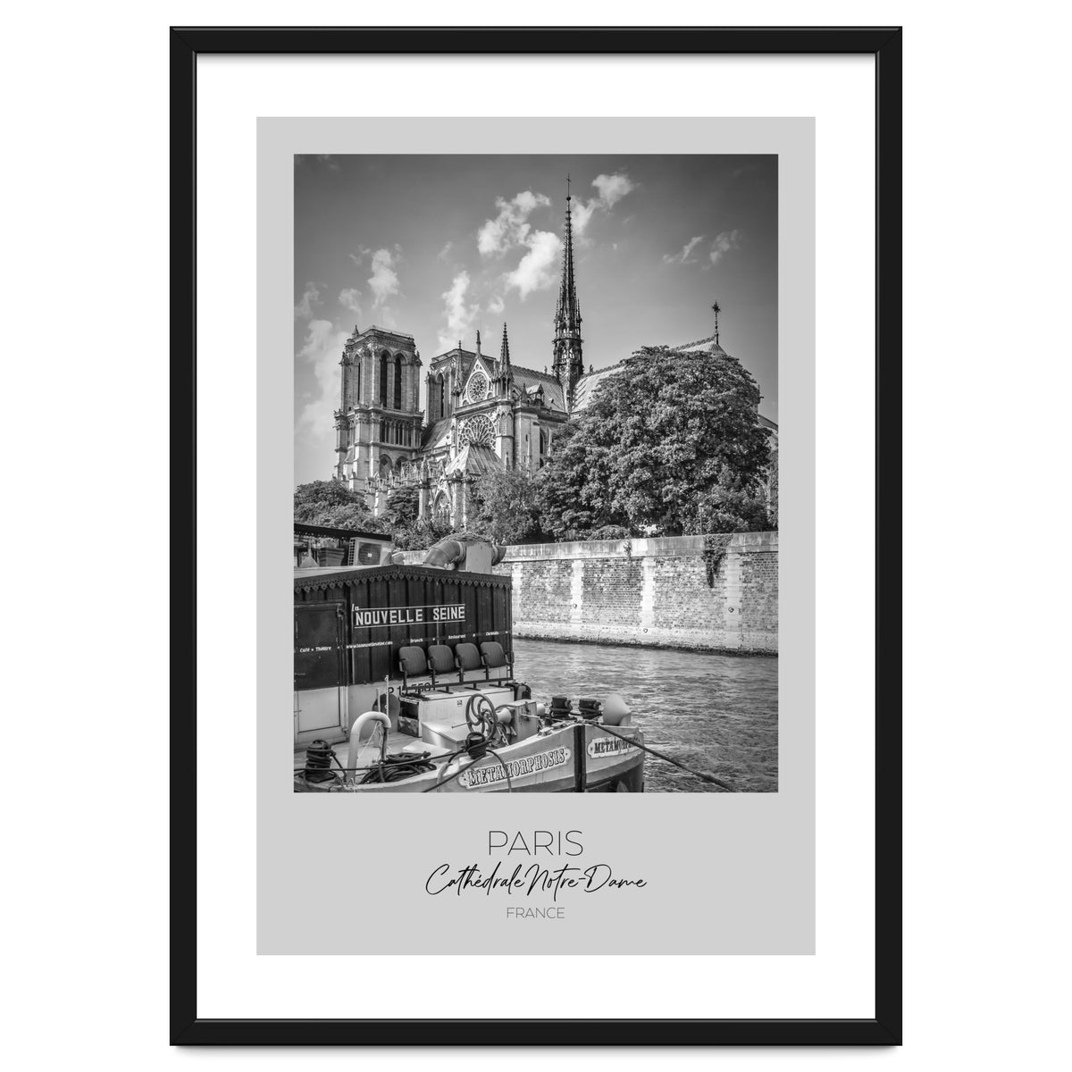 In focus: PARIS Cathedral Notre-Dame