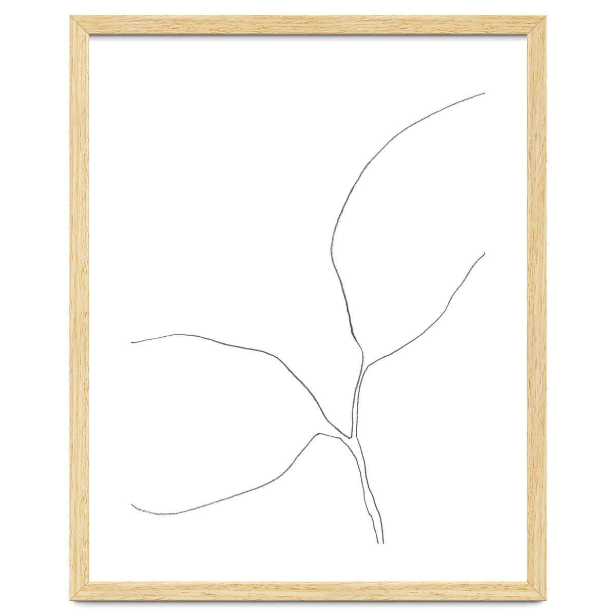 Seedling Leaning Left