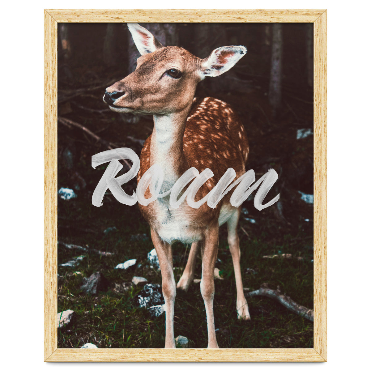 Roam