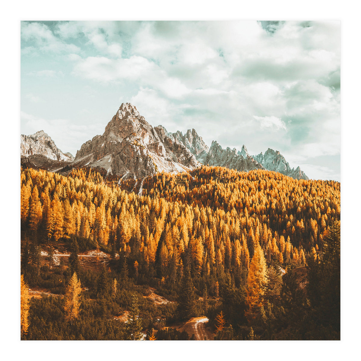 Let's Get Lost (Print Only)