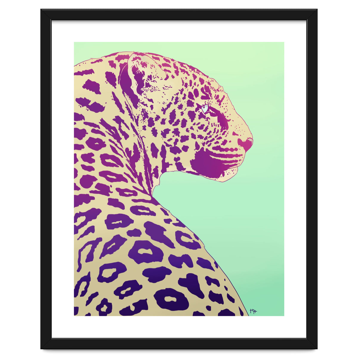 Leopard Under The Sun