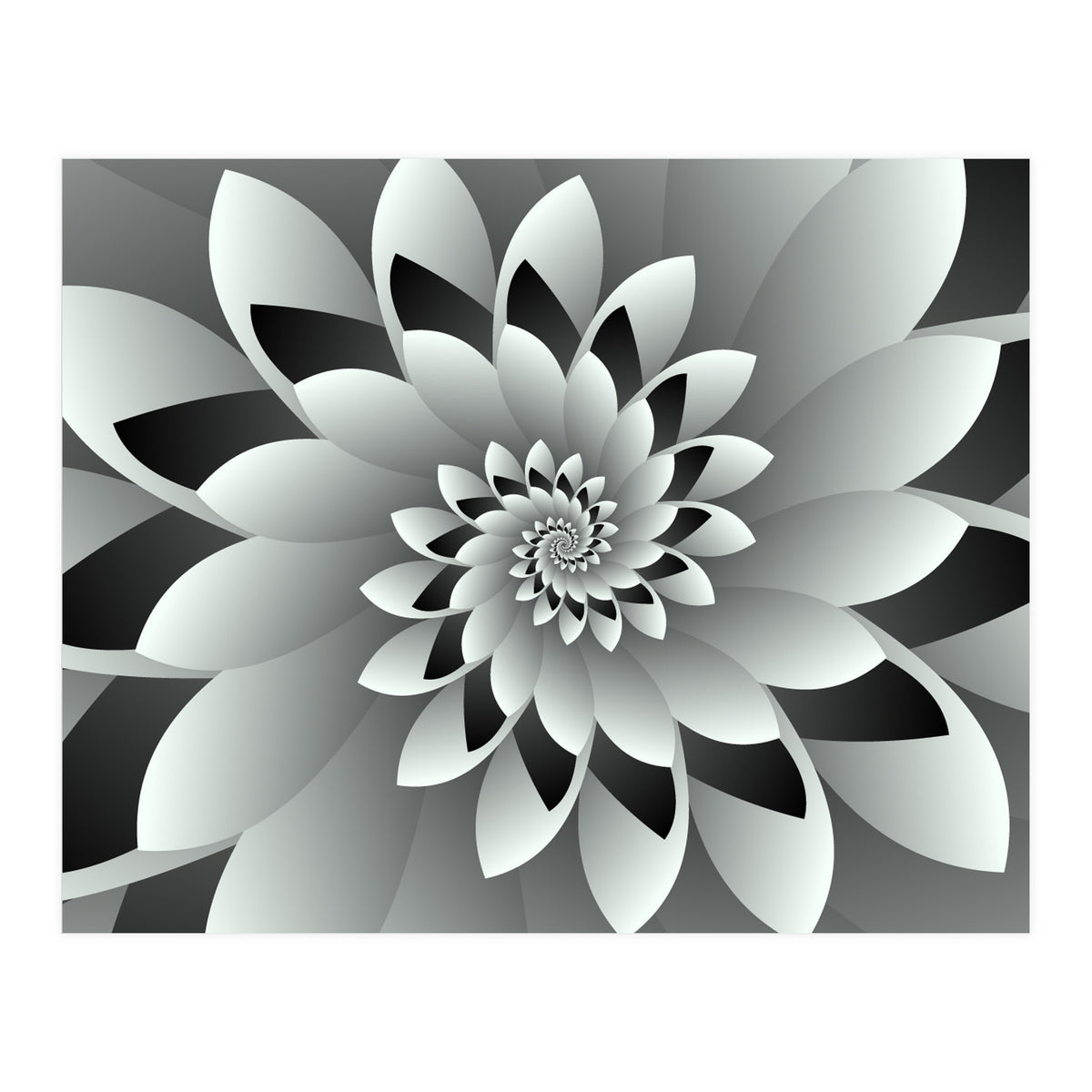 Black & White Floral (Print Only)