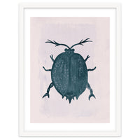 Beetle 2