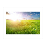 Nature (Print Only) thumbnail