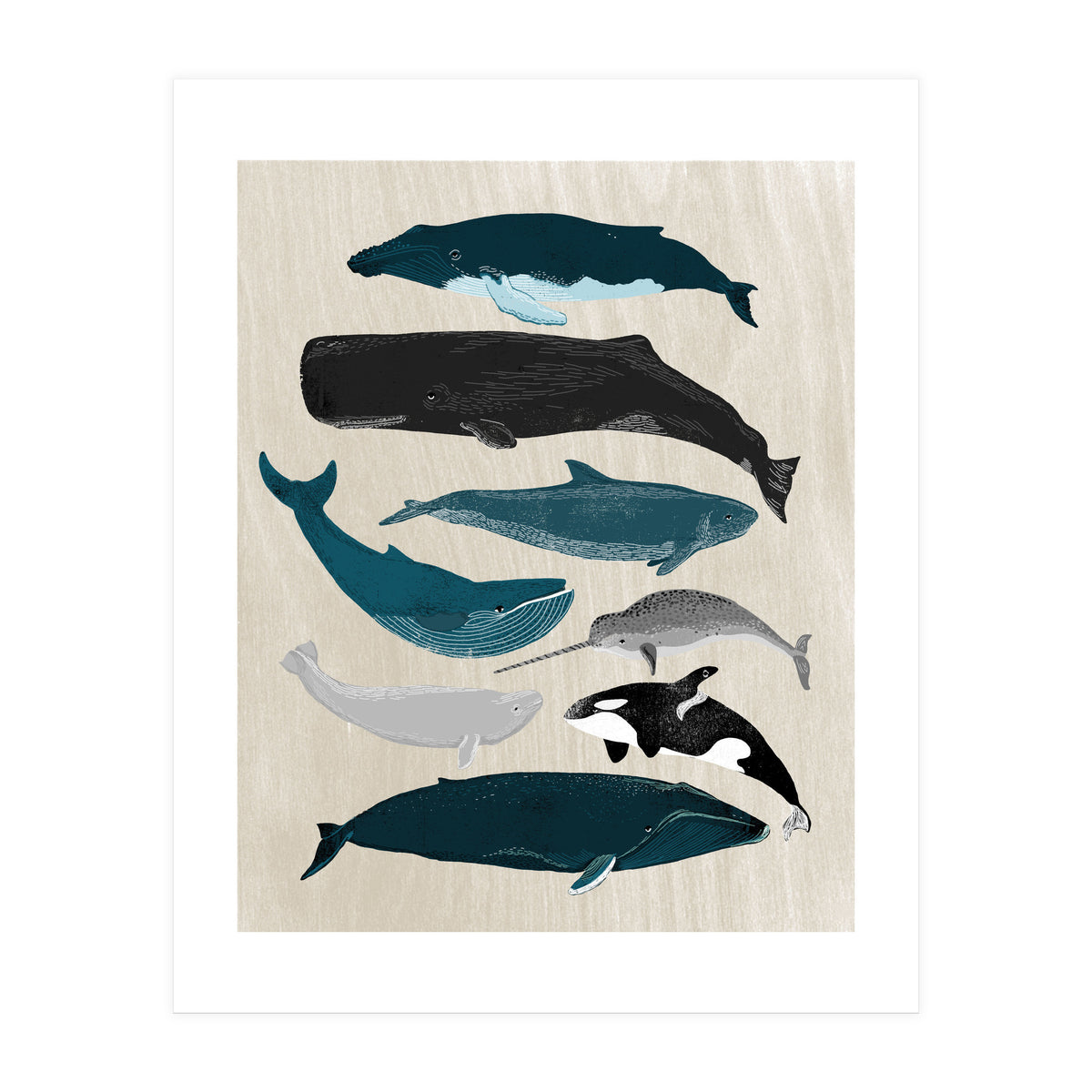 Whales (Print Only)