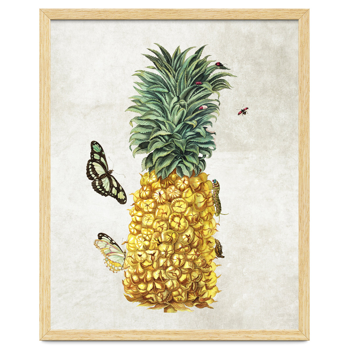 ananas