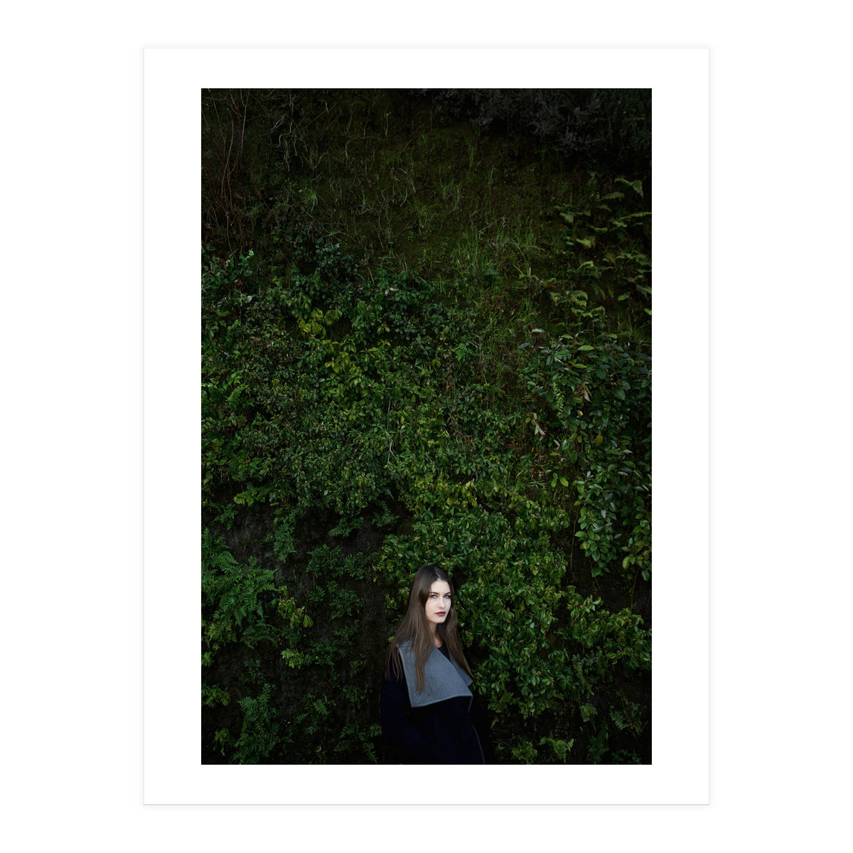 Nature in Madrid (Print Only)