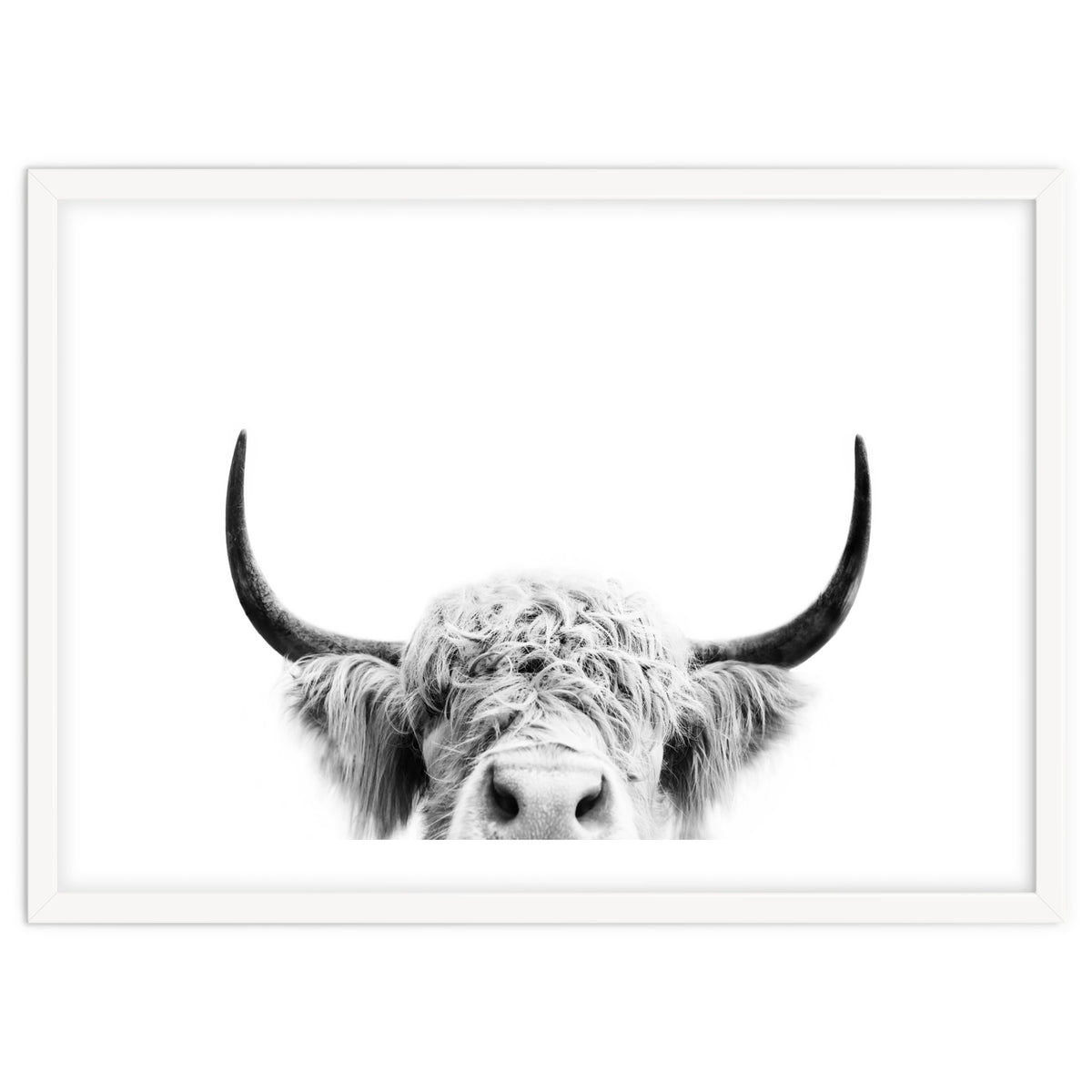 Peeking cow BW