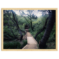Glen Canyon Park