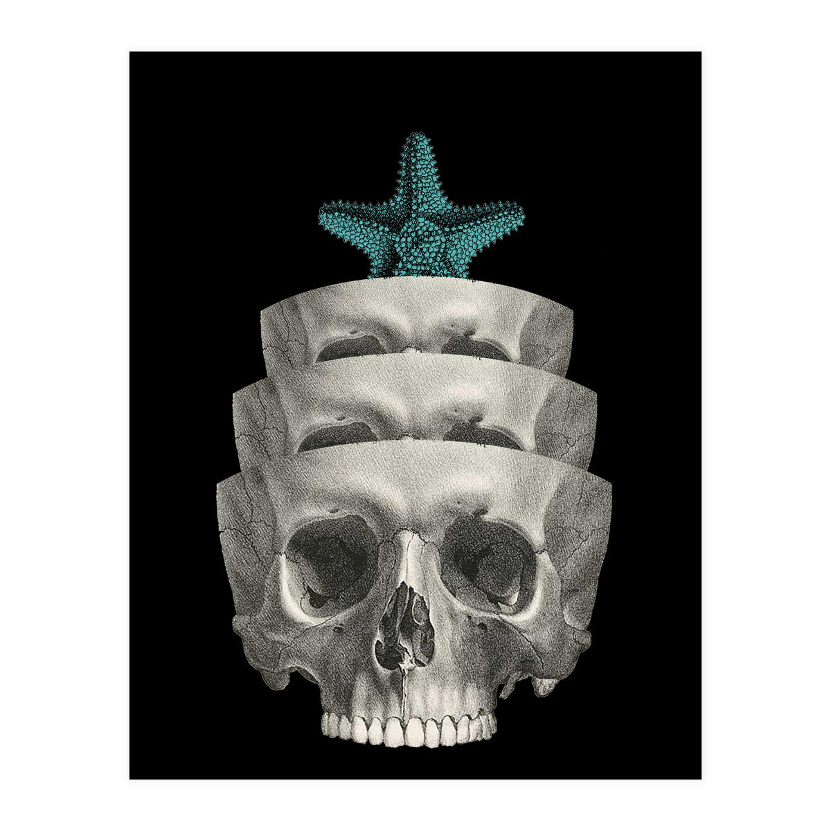 teschio (Print Only)