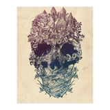 Skull Floral  (Print Only) thumbnail