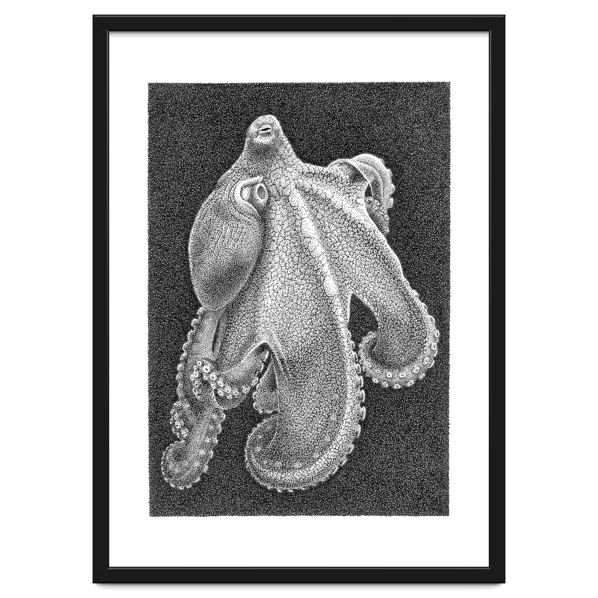 Octopus no. 2