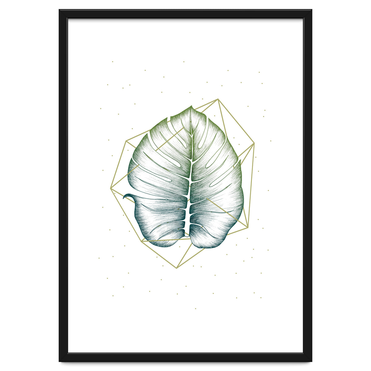 Geometry And Nature II