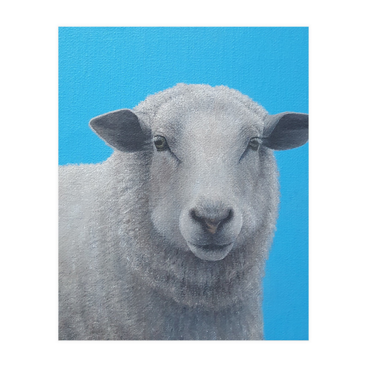 Sheep (Print Only)