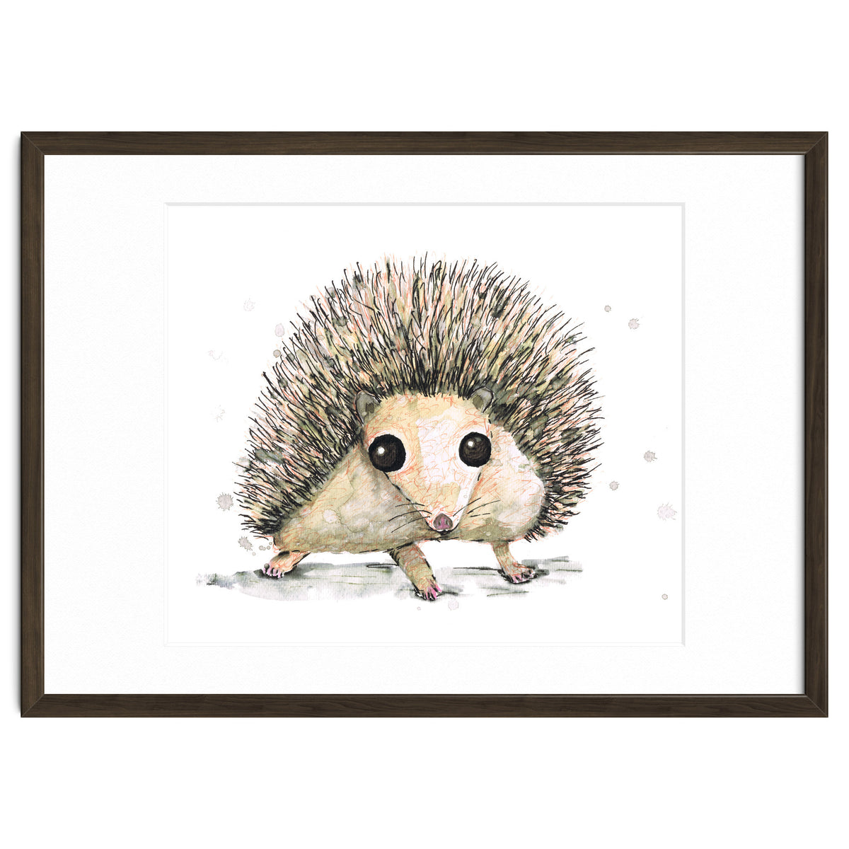 Hedgehog