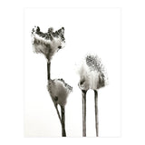 Flying Angels (Print Only) thumbnail