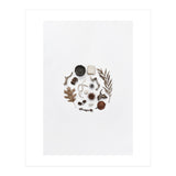 Treasures From Nature No. 2 (Print Only) thumbnail