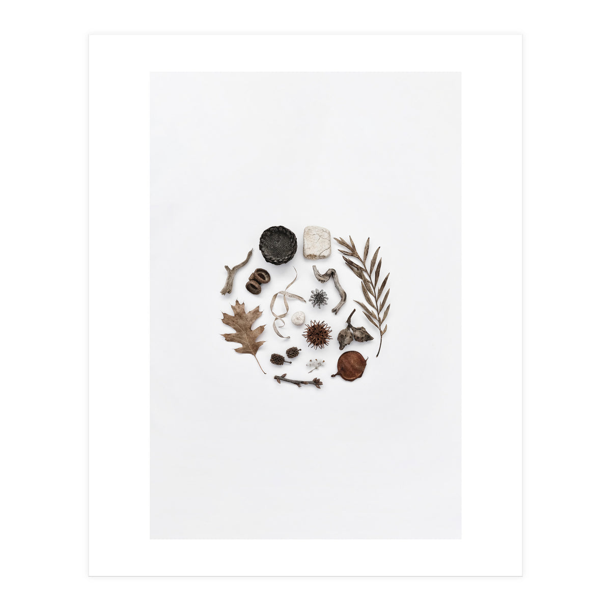 Treasures From Nature No. 2 (Print Only)