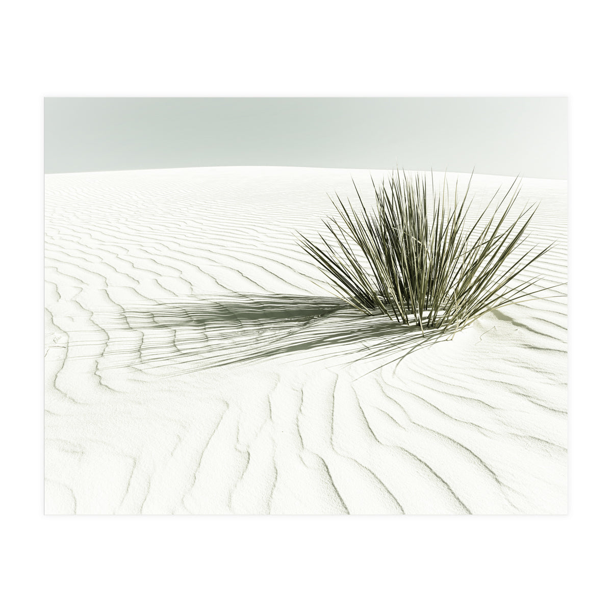 WHITE SANDS Idyllic scenery | Vintage (Print Only)