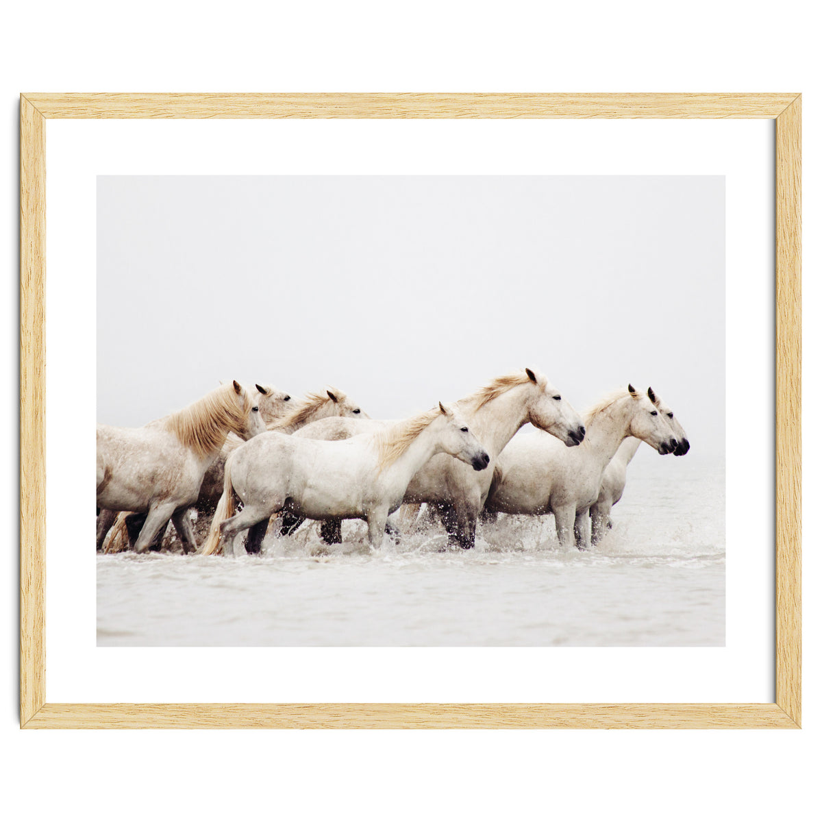 White Horses - Nature Photography