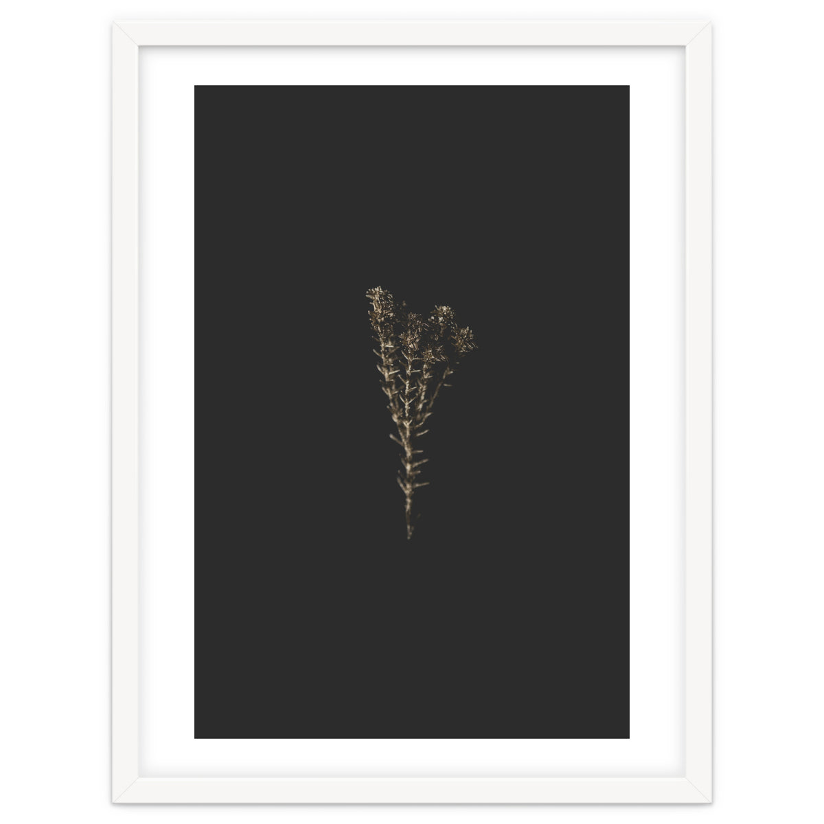 Moody Golden Botanicals