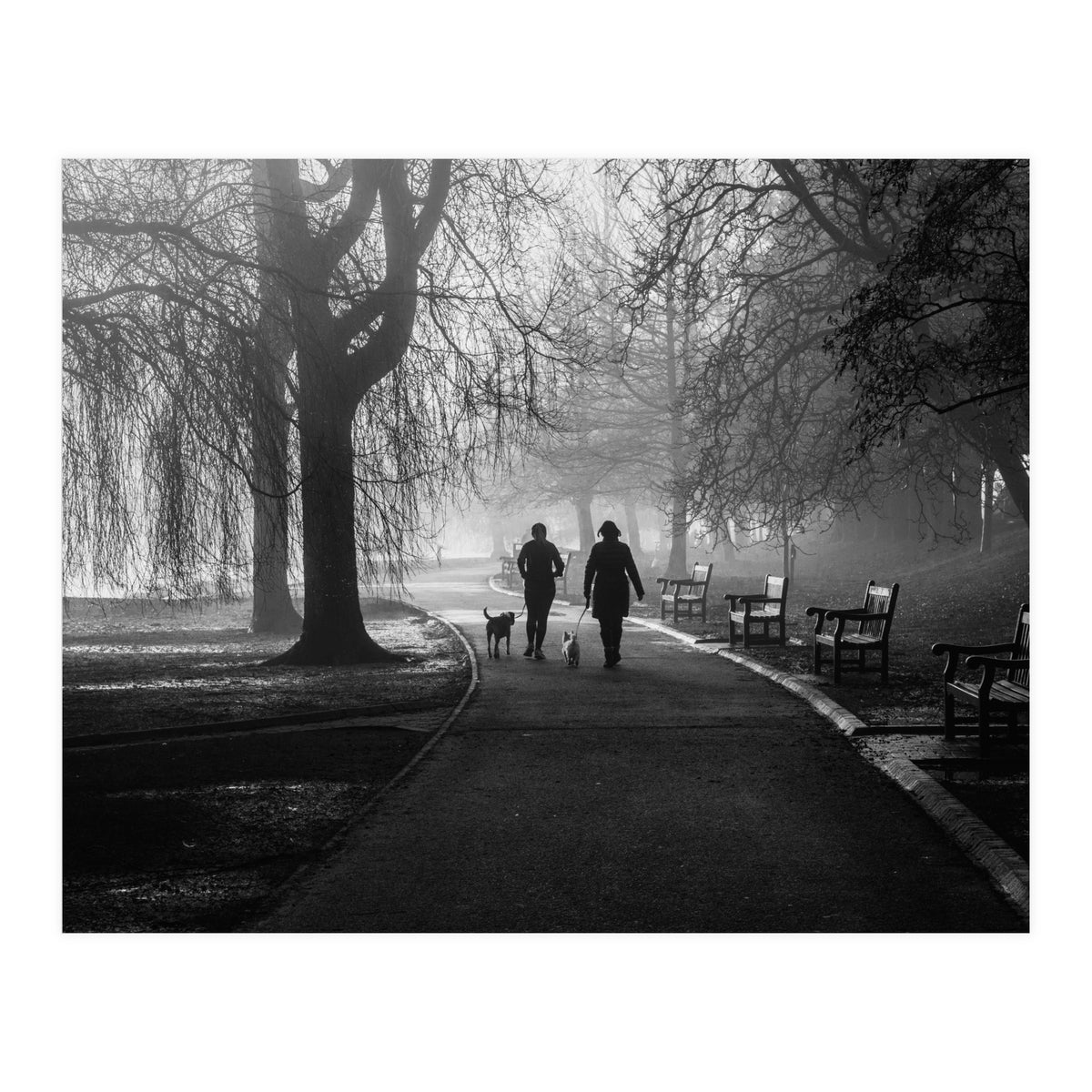 Misty Morning (Print Only)