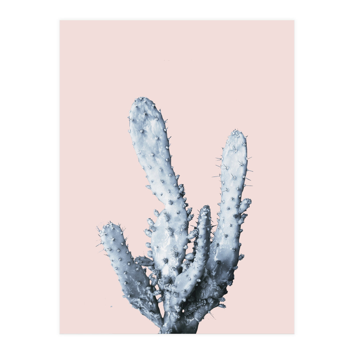 Cactus collection BL-I (Print Only)