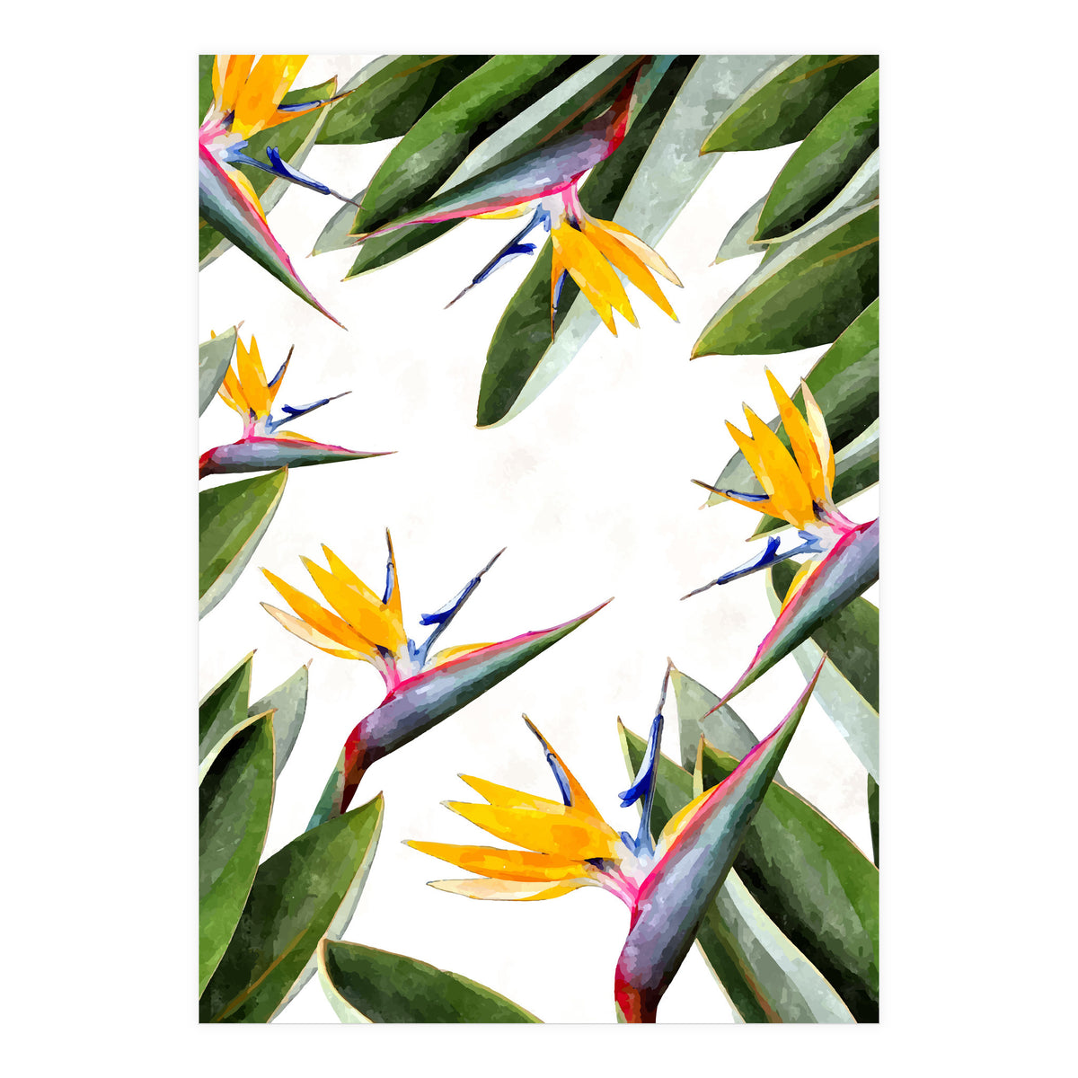 Bird Of Paradise (Print Only)