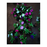 Beautiful Flower Garden (Print Only) thumbnail