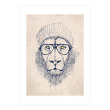 Cool Lion (Print Only) thumbnail