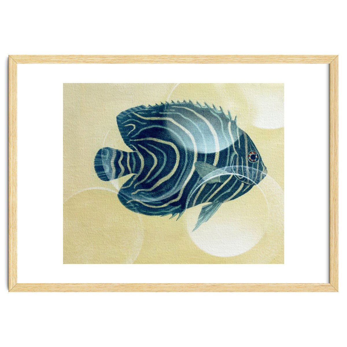 Fish Between Circles