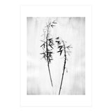 Hosta 2 (Print Only) thumbnail