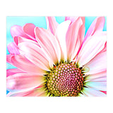 PInk Dahlia (Print Only) thumbnail