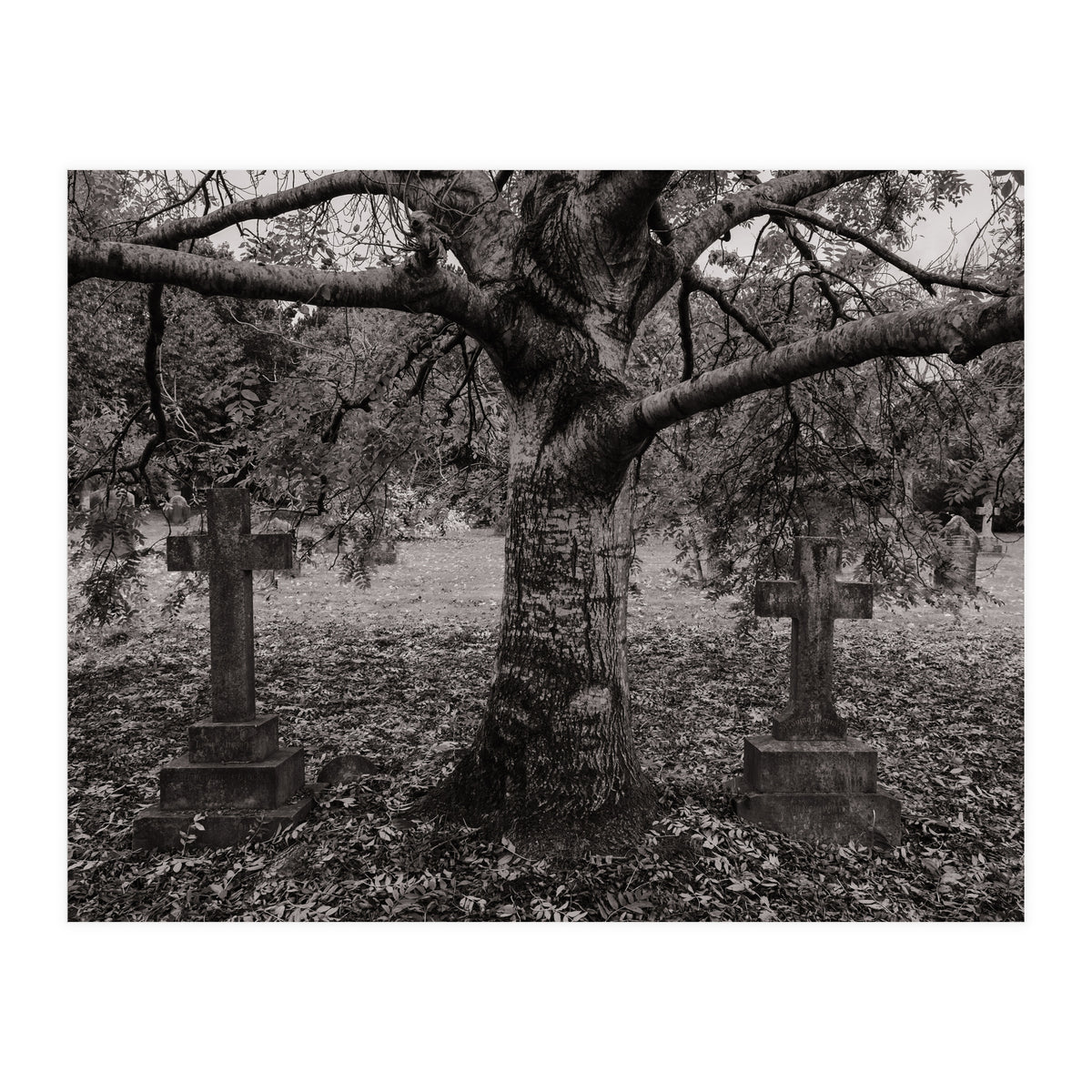 Golgotha (Print Only)