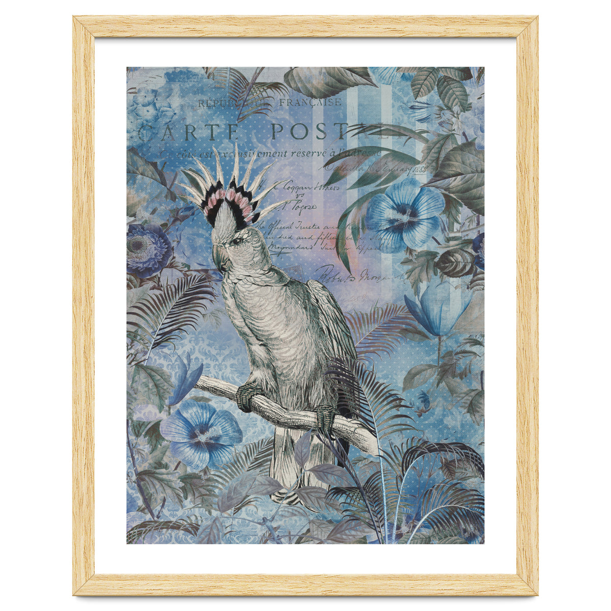 Jungle Cockatoo Blue