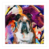 Zycko Color Dog 3 (Print Only) thumbnail