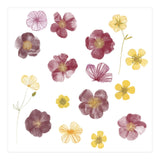 Pressed Flowers (Print Only) thumbnail