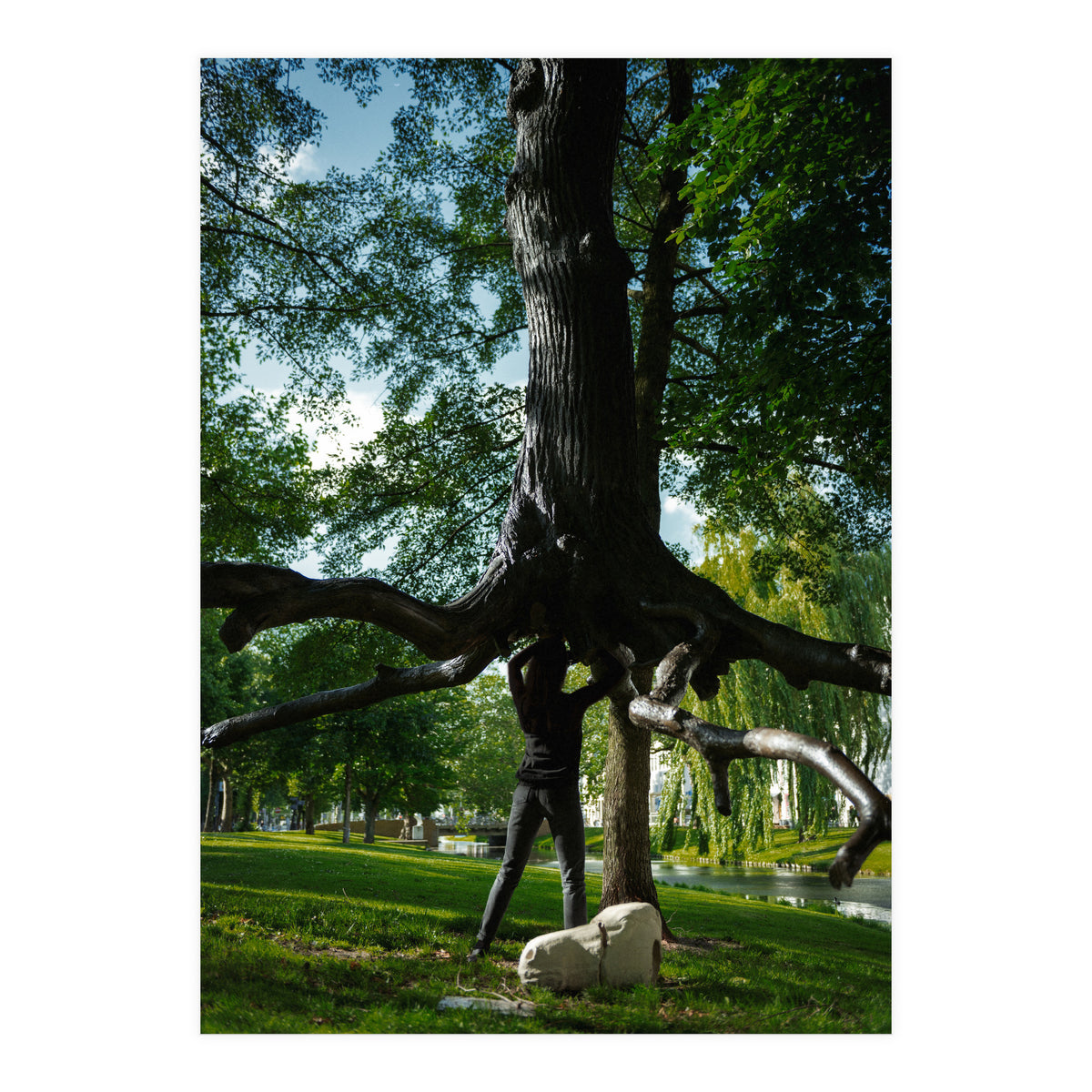 The Devil's Tree (Print Only)