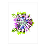 Tropic (Print Only) thumbnail