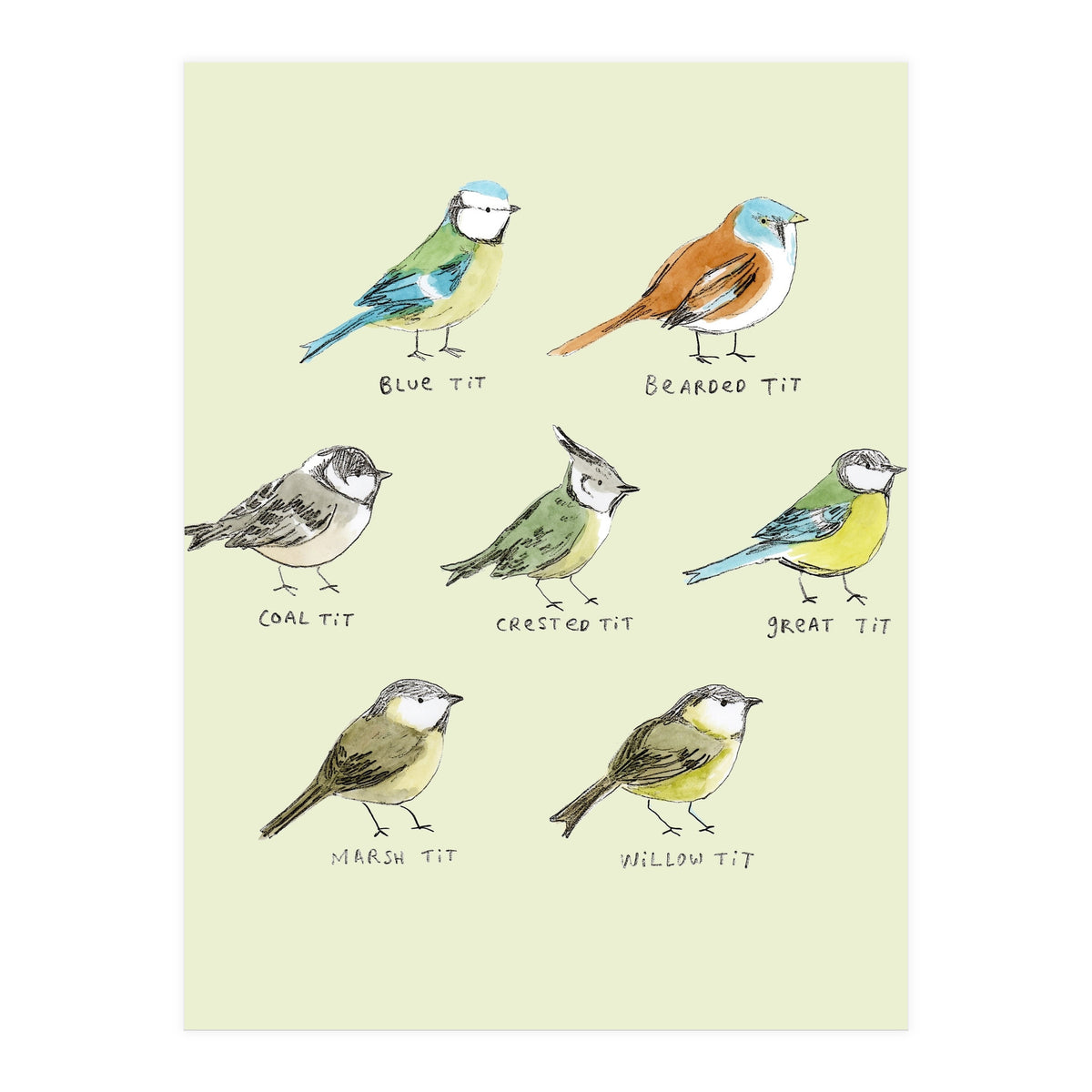 The Tit Family (Print Only)