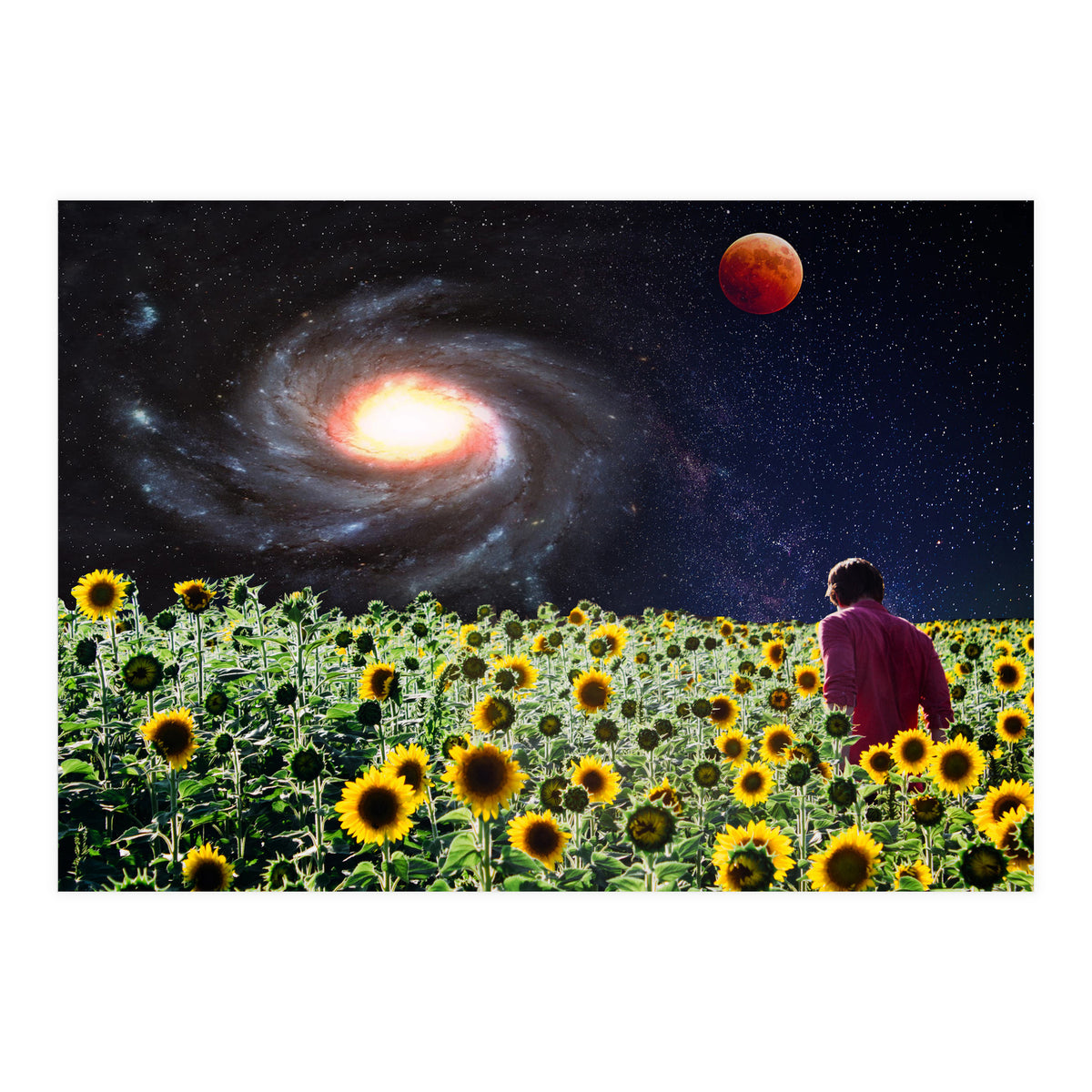 Likakiku  (Print Only)