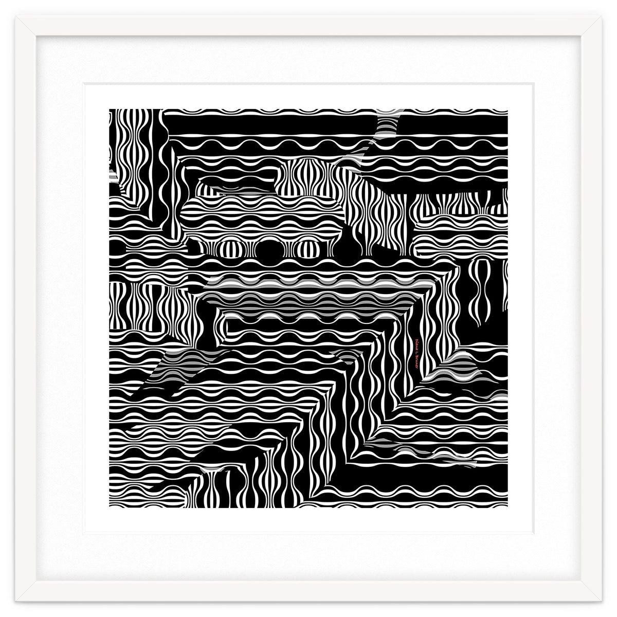 BLACK AND WHITE EXOTIC