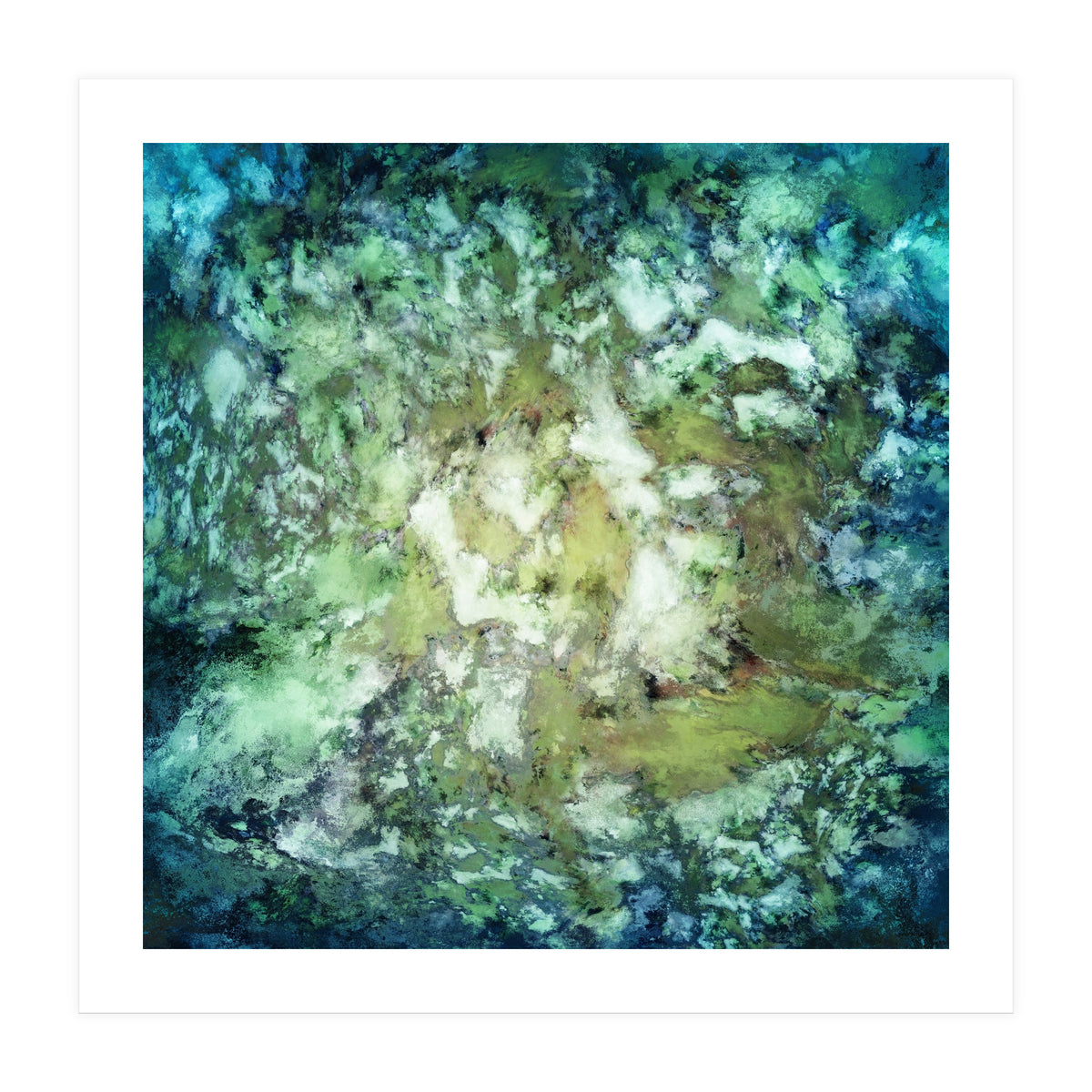 Observation (Print Only)