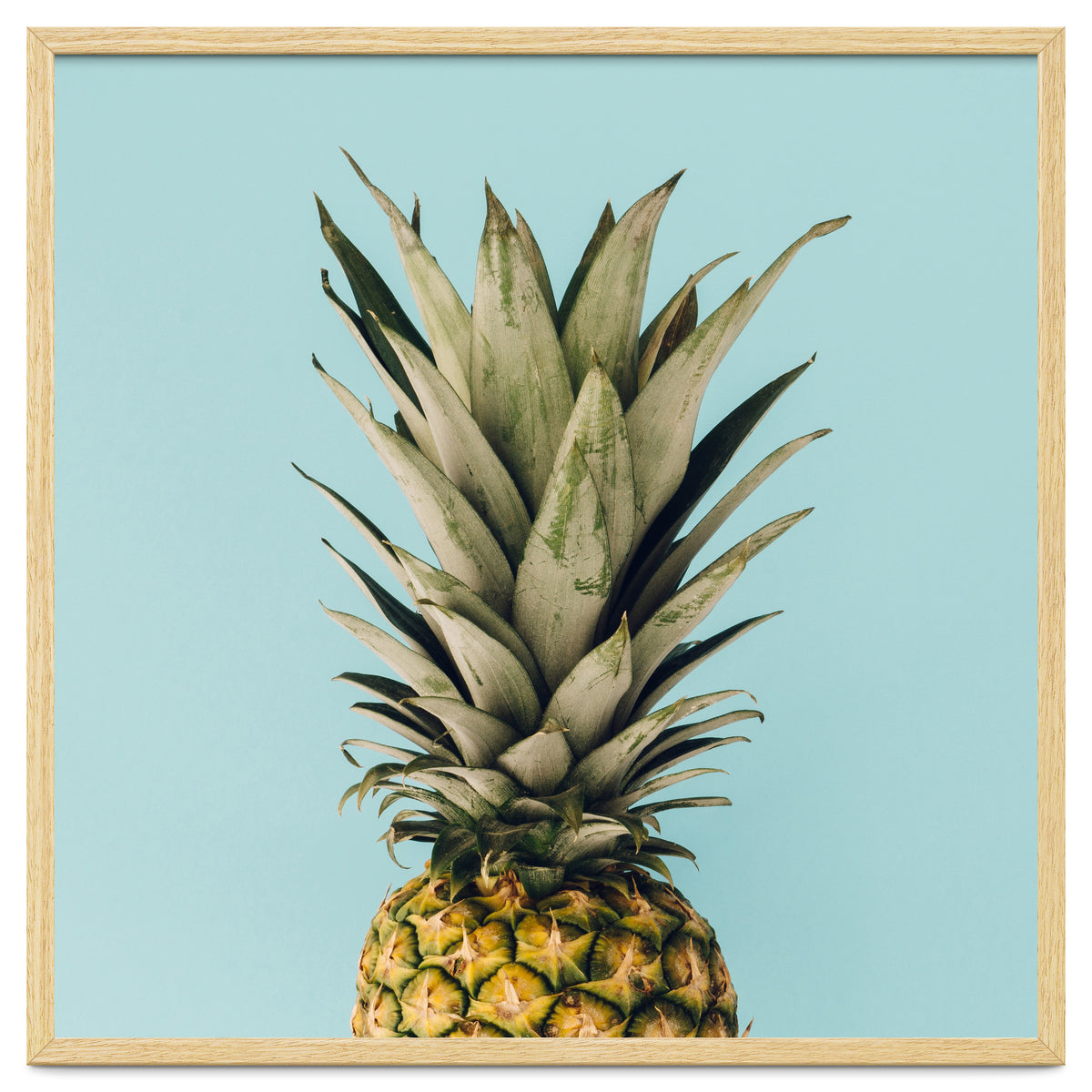 Pineapple On Blue Background