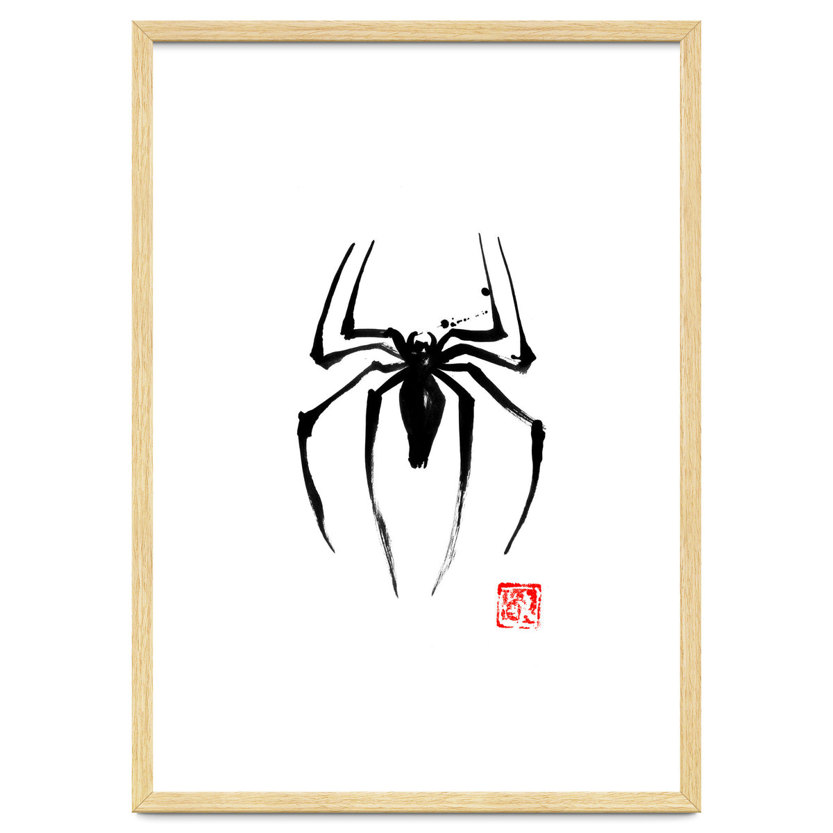 Spider