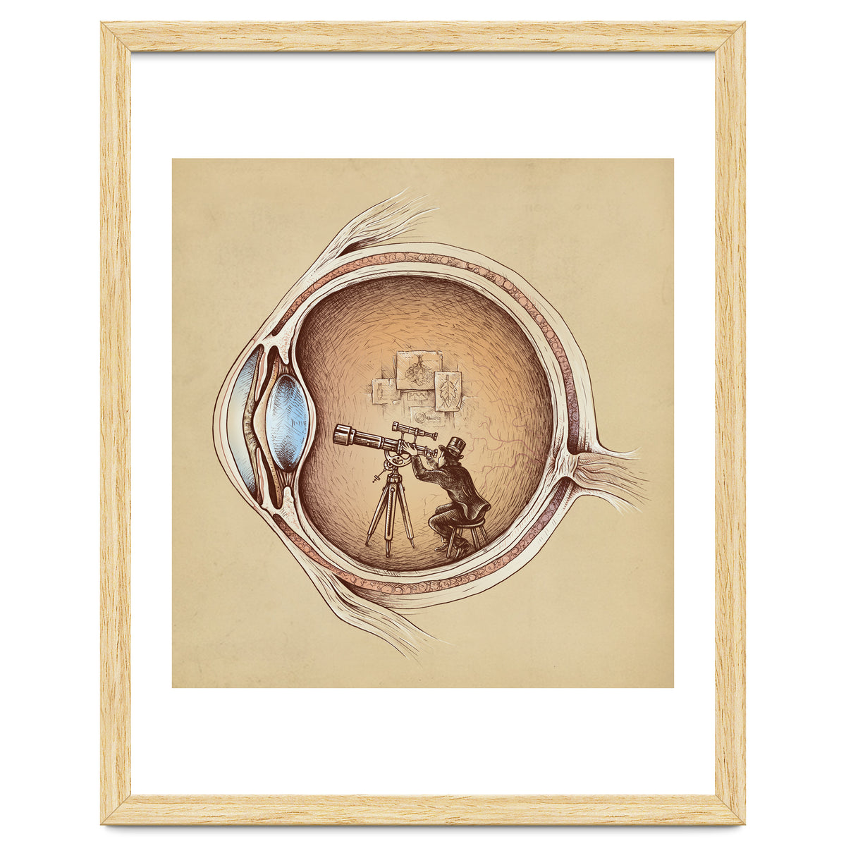 Extraordinary Observer