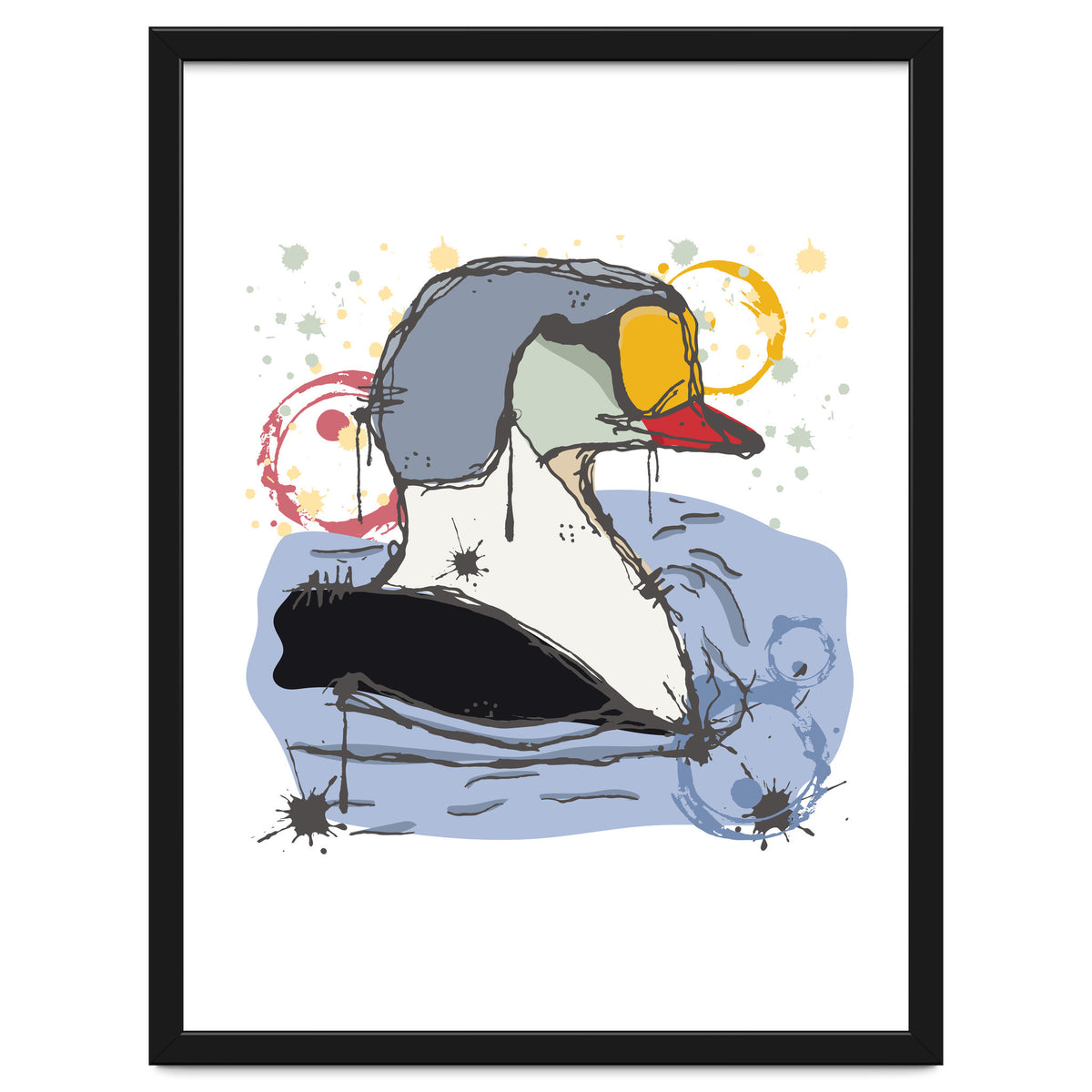 Male King Eider Duck Sketch