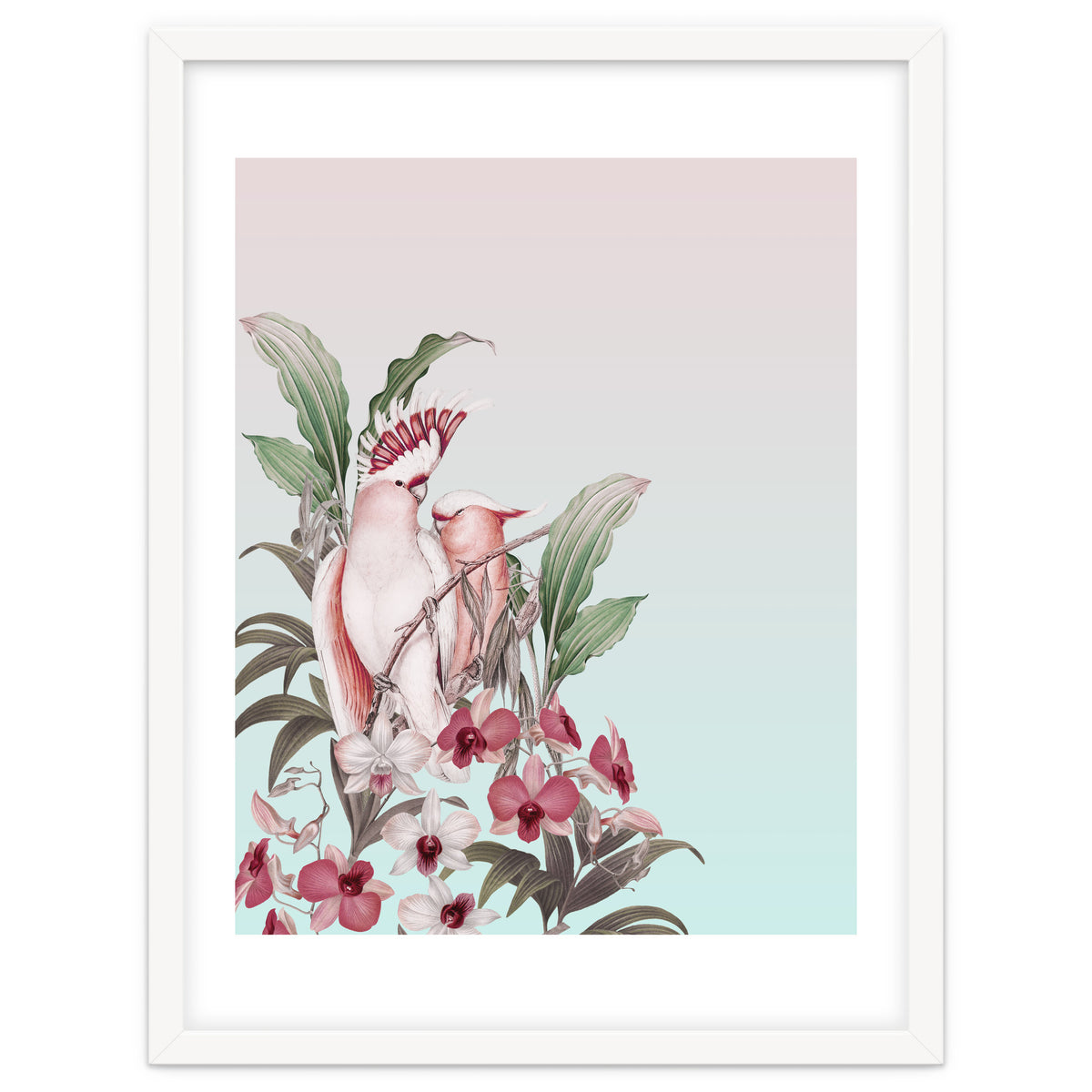 Pastel Cockatoos Paradise